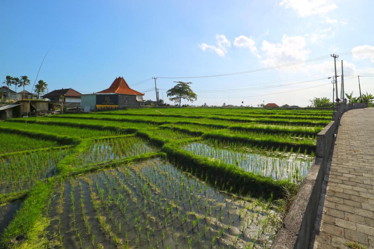 Pererenan Nengah Guest House Canggu Luaran gambar